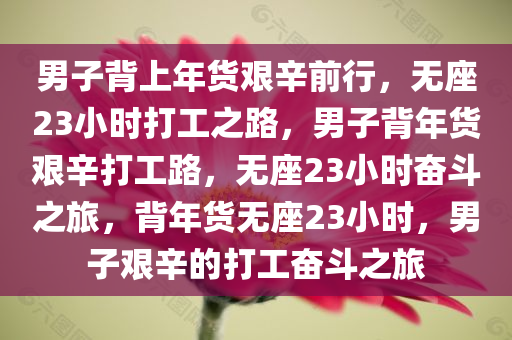 男子背上年货艰辛前行，无座23小时打工之路，男子背年货艰辛打工路，无座23小时奋斗之旅，背年货无座23小时，男子艰辛的打工奋斗之旅