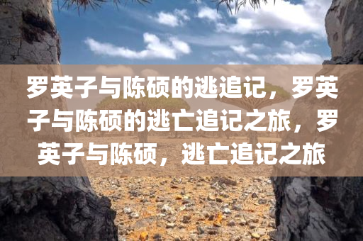 罗英子与陈硕的逃追记，罗英子与陈硕的逃亡追记之旅，罗英子与陈硕，逃亡追记之旅