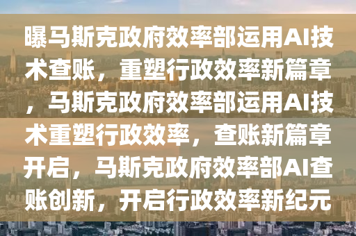 曝马斯克政府效率部运用AI技术查账，重塑行政效率新篇章，马斯克政府效率部运用AI技术重塑行政效率，查账新篇章开启，马斯克政府效率部AI查账创新，开启行政效率新纪元