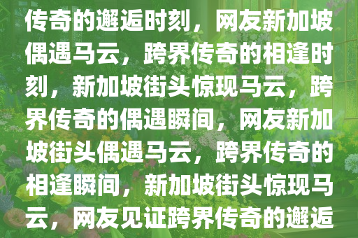 网友在新加坡偶遇马云，跨界传奇的邂逅时刻，网友新加坡偶遇马云，跨界传奇的相逢时刻，新加坡街头惊现马云，跨界传奇的偶遇瞬间，网友新加坡街头偶遇马云，跨界传奇的相逢瞬间，新加坡街头惊现马云，网友见证跨界传奇的邂逅瞬间