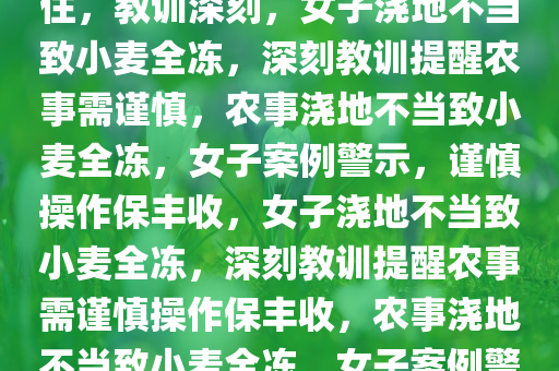 女子浇地不当致隔天小麦全冻住，教训深刻，女子浇地不当致小麦全冻，深刻教训提醒农事需谨慎，农事浇地不当致小麦全冻，女子案例警示，谨慎操作保丰收，女子浇地不当致小麦全冻，深刻教训提醒农事需谨慎操作保丰收，农事浇地不当致小麦全冻，女子案例警示，谨慎操作保丰收