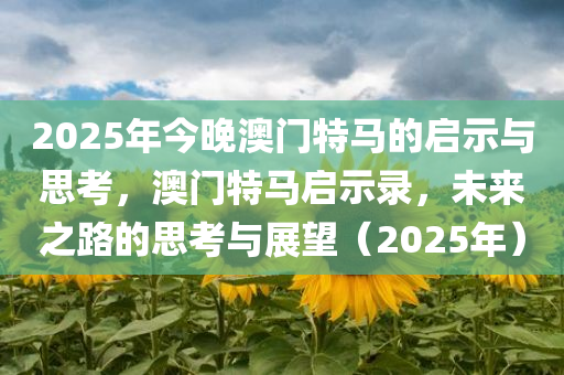2025年今晚澳门特马的启示与思考，澳门特马启示录，未来之路的思考与展望（2025年）