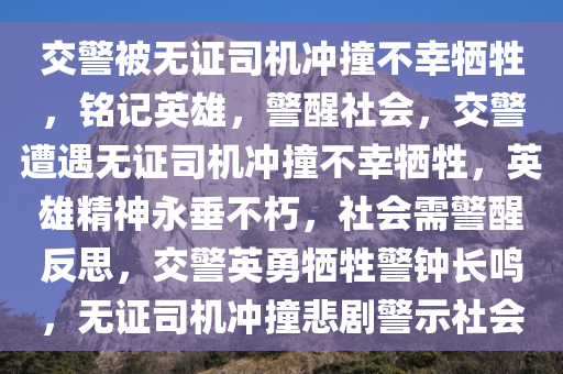 zhangyanan 第13页