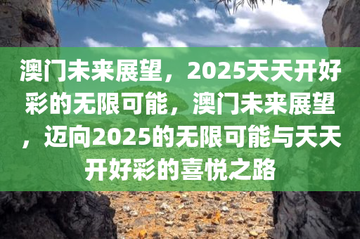 澳门未来展望，2025天天开好彩的无限可能，澳门未来展望，迈向2025的无限可能与天天开好彩的喜悦之路