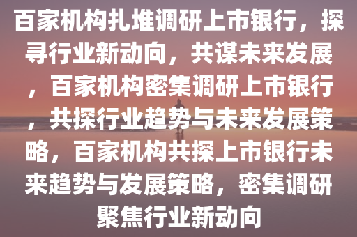 百家机构扎堆调研上市银行，探寻行业新动向，共谋未来发展，百家机构密集调研上市银行，共探行业趋势与未来发展策略，百家机构共探上市银行未来趋势与发展策略，密集调研聚焦行业新动向