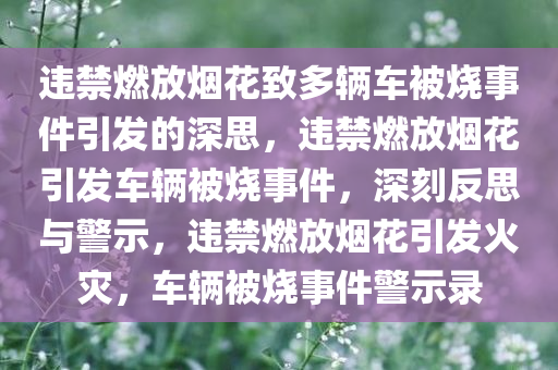 违禁燃放烟花致多辆车被烧事件引发的深思，违禁燃放烟花引发车辆被烧事件，深刻反思与警示，违禁燃放烟花引发火灾，车辆被烧事件警示录