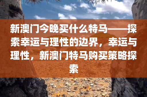 新澳门今晚买什么特马——探索幸运与理性的边界，幸运与理性，新澳门特马购买策略探索