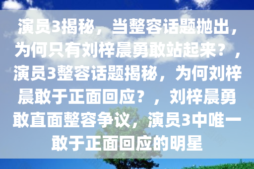 演员3揭秘，当整容话题抛出，为何只有刘梓晨勇敢站起来？，演员3整容话题揭秘，为何刘梓晨敢于正面回应？，刘梓晨勇敢直面整容争议，演员3中唯一敢于正面回应的明星