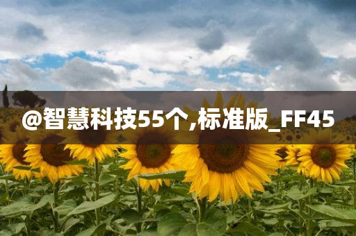 @智慧科技55个,标准版_FF45