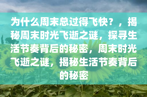 为什么周末总过得飞快？，揭秘周末时光飞逝之谜，探寻生活节奏背后的秘密，周末时光飞逝之谜，揭秘生活节奏背后的秘密