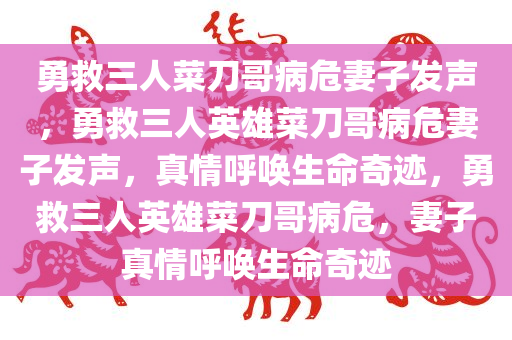 勇救三人菜刀哥病危妻子发声，勇救三人英雄菜刀哥病危妻子发声，真情呼唤生命奇迹，勇救三人英雄菜刀哥病危，妻子真情呼唤生命奇迹