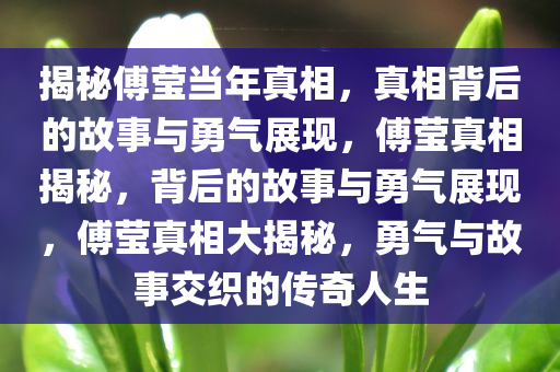 揭秘傅莹当年真相，真相背后的故事与勇气展现，傅莹真相揭秘，背后的故事与勇气展现，傅莹真相大揭秘，勇气与故事交织的传奇人生