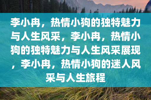 李小冉，热情小狗的独特魅力与人生风采，李小冉，热情小狗的独特魅力与人生风采展现，李小冉，热情小狗的迷人风采与人生旅程