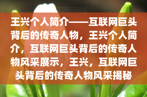 王兴个人简介——互联网巨头背后的传奇人物，王兴个人简介，互联网巨头背后的传奇人物风采展示，王兴，互联网巨头背后的传奇人物风采揭秘