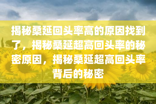 揭秘桑延回头率高的原因找到了，揭秘桑延超高回头率的秘密原因，揭秘桑延超高回头率背后的秘密