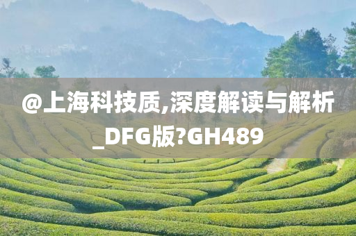 @上海科技质,深度解读与解析_DFG版?GH489