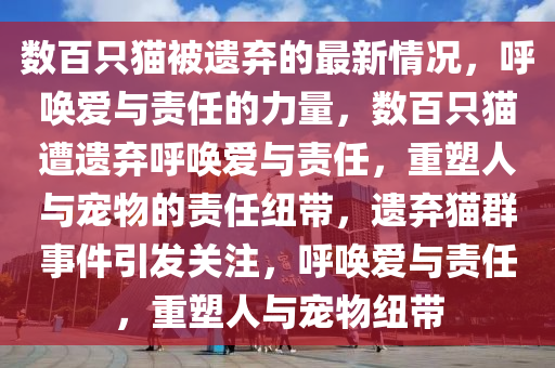 数百只猫被遗弃的最新情况，呼唤爱与责任的力量，数百只猫遭遗弃呼唤爱与责任，重塑人与宠物的责任纽带，遗弃猫群事件引发关注，呼唤爱与责任，重塑人与宠物纽带