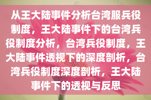 从王大陆事件分析台湾服兵役制度，王大陆事件下的台湾兵役制度分析，台湾兵役制度，王大陆事件透视下的深度剖析，台湾兵役制度深度剖析，王大陆事件下的透视与反思