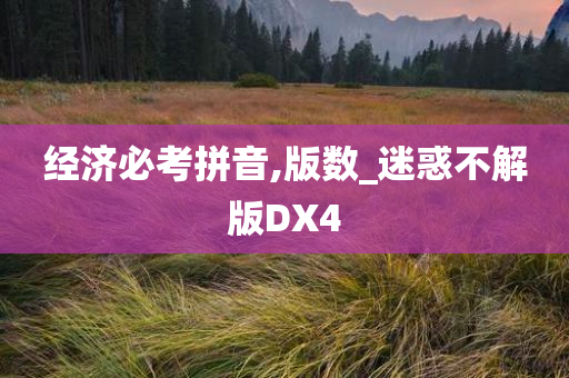 经济必考拼音,版数_迷惑不解版DX4