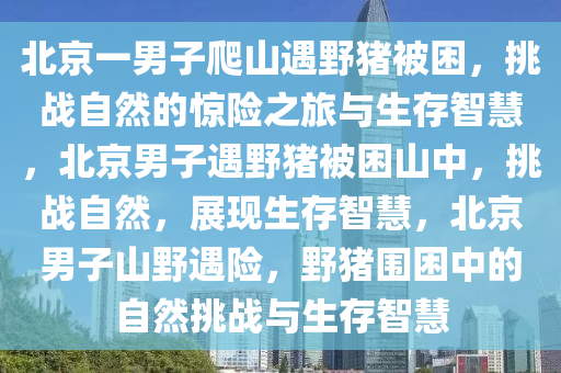 北京一男子爬山遇野猪被困，挑战自然的惊险之旅与生存智慧，北京男子遇野猪被困山中，挑战自然，展现生存智慧，北京男子山野遇险，野猪围困中的自然挑战与生存智慧