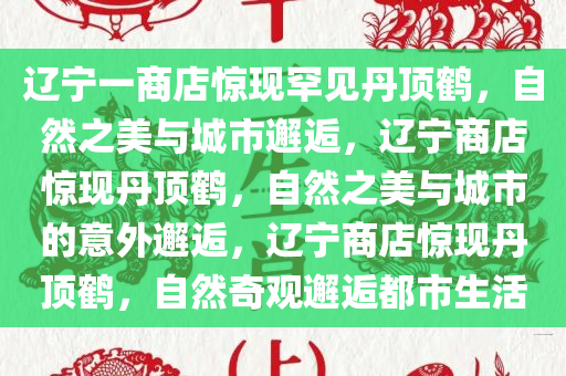 辽宁一商店惊现罕见丹顶鹤，自然之美与城市邂逅，辽宁商店惊现丹顶鹤，自然之美与城市的意外邂逅，辽宁商店惊现丹顶鹤，自然奇观邂逅都市生活
