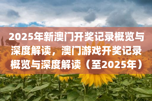 2025年新澳门开奖记录概览与深度解读，澳门游戏开奖记录概览与深度解读（至2025年）