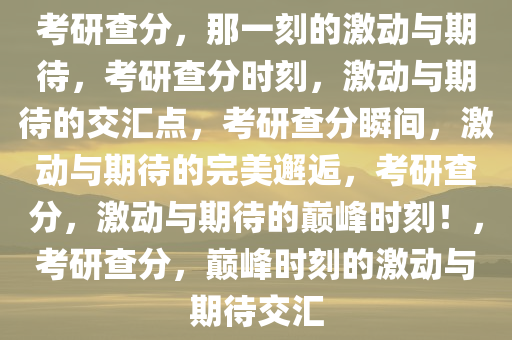 考研查分，那一刻的激动与期待，考研查分时刻，激动与期待的交汇点，考研查分瞬间，激动与期待的完美邂逅，考研查分，激动与期待的巅峰时刻！，考研查分，巅峰时刻的激动与期待交汇