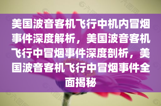 美国波音客机飞行中机内冒烟事件深度解析，美国波音客机飞行中冒烟事件深度剖析，美国波音客机飞行中冒烟事件全面揭秘
