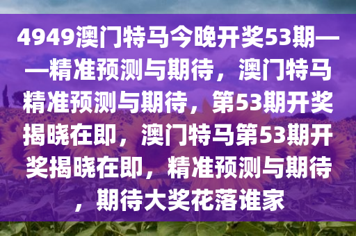 4949澳门特马今晚开奖53期——精准预测与期待，澳门特马精准预测与期待，第53期开奖揭晓在即，澳门特马第53期开奖揭晓在即，精准预测与期待，期待大奖花落谁家
