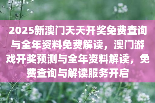 2025新澳门天天开奖免费查询与全年资料免费解读，澳门游戏开奖预测与全年资料解读，免费查询与解读服务开启