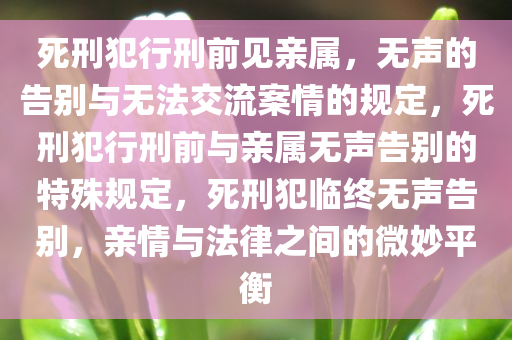 死刑犯行刑前见亲属，无声的告别与无法交流案情的规定，死刑犯行刑前与亲属无声告别的特殊规定，死刑犯临终无声告别，亲情与法律之间的微妙平衡