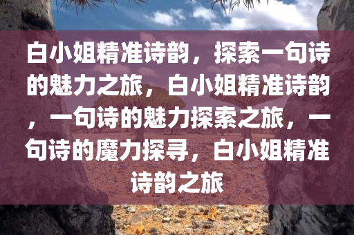 白小姐精准诗韵，探索一句诗的魅力之旅，白小姐精准诗韵，一句诗的魅力探索之旅，一句诗的魔力探寻，白小姐精准诗韵之旅