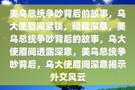 美乌总统争吵背后的故事，乌大使眉间紧锁，暗藏深意，美乌总统争吵背后的故事，乌大使眉间透露深意，美乌总统争吵背后，乌大使眉间深意揭示外交风云