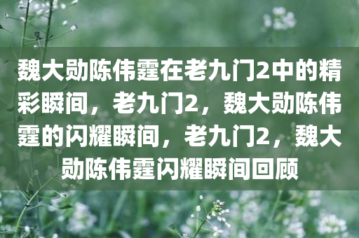 guozhejia 第8页