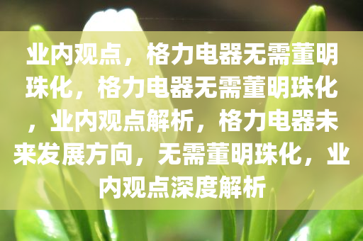 业内观点，格力电器无需董明珠化，格力电器无需董明珠化，业内观点解析，格力电器未来发展方向，无需董明珠化，业内观点深度解析