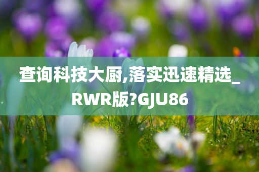 查询科技大厨,落实迅速精选_RWR版?GJU86