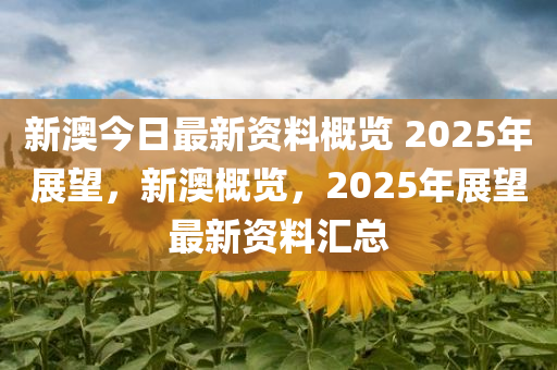 新澳今日最新资料概览 2025年展望，新澳概览，2025年展望最新资料汇总