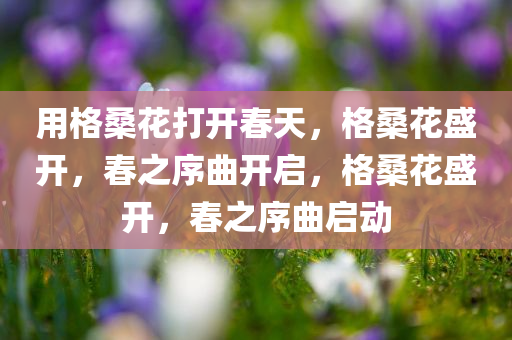 用格桑花打开春天，格桑花盛开，春之序曲开启，格桑花盛开，春之序曲启动