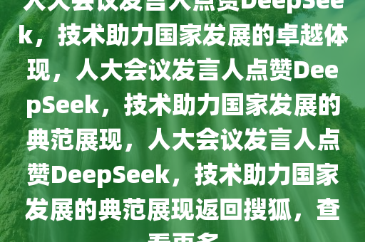 人大会议发言人点赞DeepSeek