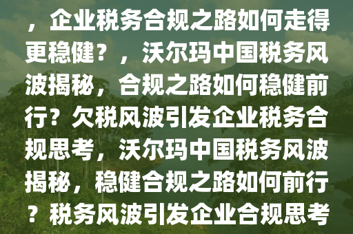 沃尔玛中国欠税1125万被公告，企业税务合规之路如何走得更稳健？，沃尔玛中国税务风波揭秘，合规之路如何稳健前行？欠税风波引发企业税务合规思考，沃尔玛中国税务风波揭秘，稳健合规之路如何前行？税务风波引发企业合规思考。