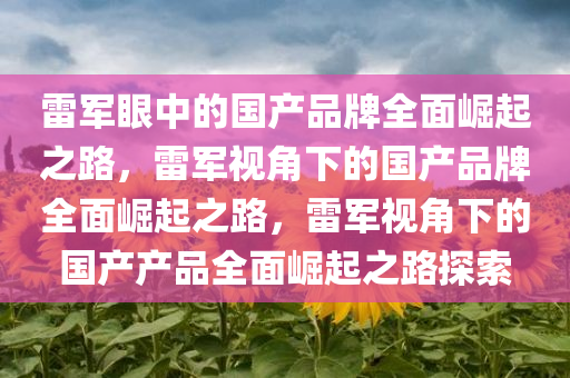 雷军眼中的国产品牌全面崛起之路，雷军视角下的国产品牌全面崛起之路，雷军视角下的国产产品全面崛起之路探索