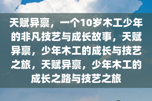 天赋异禀，一个10岁木工少年的非凡技艺与成长故事，天赋异禀，少年木工的成长与技艺之旅，天赋异禀，少年木工的成长之路与技艺之旅