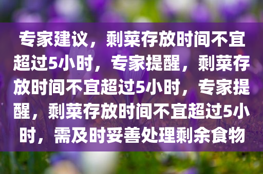 专家建议，剩菜存放时间不宜超过5小时，专家提醒，剩菜存放时间不宜超过5小时，专家提醒，剩菜存放时间不宜超过5小时，需及时妥善处理剩余食物