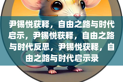 尹锡悦获释，自由之路与时代启示，尹锡悦获释，自由之路与时代反思，尹锡悦获释，自由之路与时代启示录