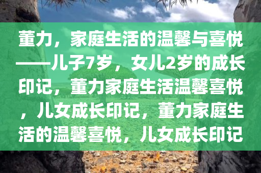 董力，家庭生活的温馨与喜悦——儿子7岁，女儿2岁的成长印记，董力家庭生活温馨喜悦，儿女成长印记，董力家庭生活的温馨喜悦，儿女成长印记