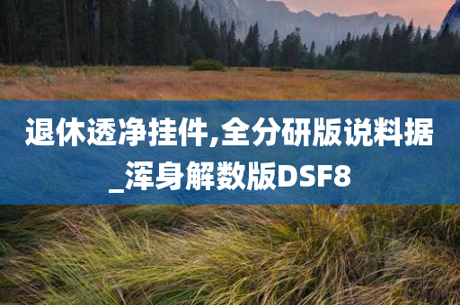 退休透净挂件,全分研版说料据_浑身解数版DSF8