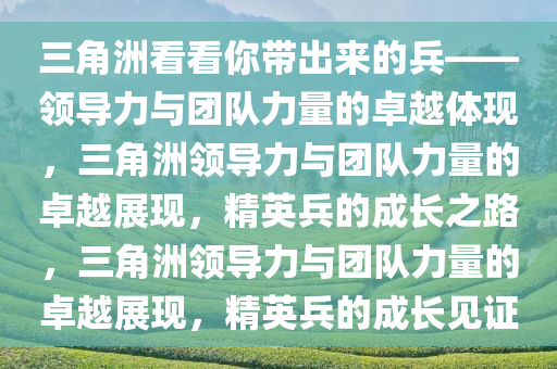 三角洲看看你带出来的兵——领导力与团队力量的卓越体现，三角洲领导力与团队力量的卓越展现，精英兵的成长之路，三角洲领导力与团队力量的卓越展现，精英兵的成长见证