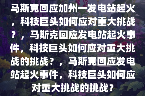 马斯克回应加州一发电站起火，科技巨头如何应对重大挑战？，马斯克回应发电站起火事件，科技巨头如何应对重大挑战的挑战？，马斯克回应发电站起火事件，科技巨头如何应对重大挑战的挑战？
