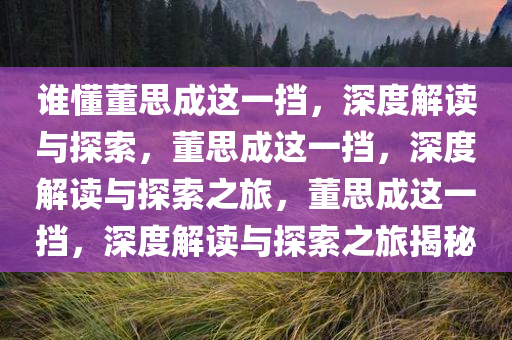谁懂董思成这一挡，深度解读与探索，董思成这一挡，深度解读与探索之旅，董思成这一挡，深度解读与探索之旅揭秘