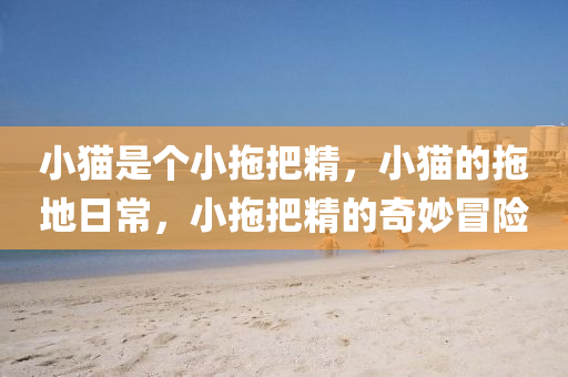 小猫是个小拖把精，小猫的拖地日常，小拖把精的奇妙冒险